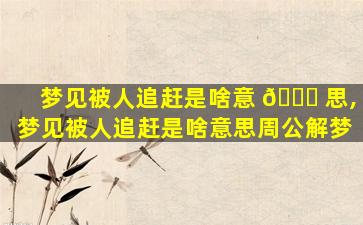 梦见被人追赶是啥意 🐈 思,梦见被人追赶是啥意思周公解梦
